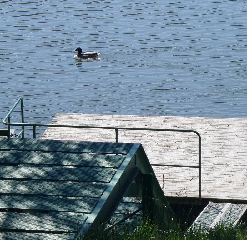 Tiszavirag Nyaralohaz Villa Szeged Luaran gambar
