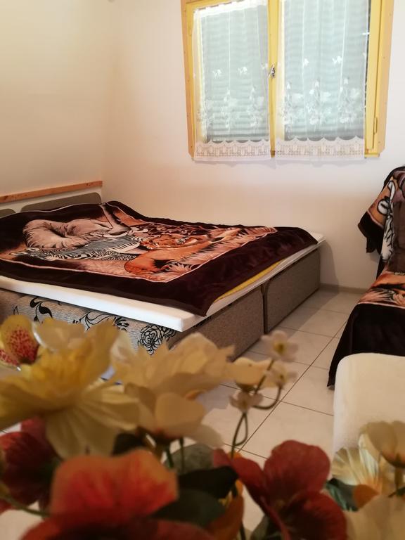 Tiszavirag Nyaralohaz Villa Szeged Luaran gambar